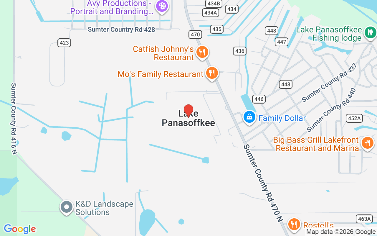 1208 Cr 463B, Lake Panasoffkee, FL 33538