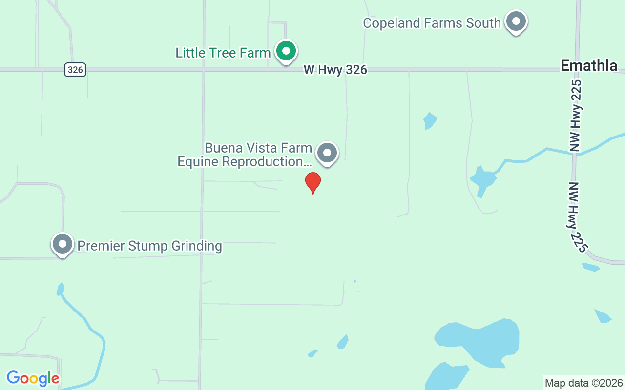 11130 Highway 326  W, Ocala, FL 34482