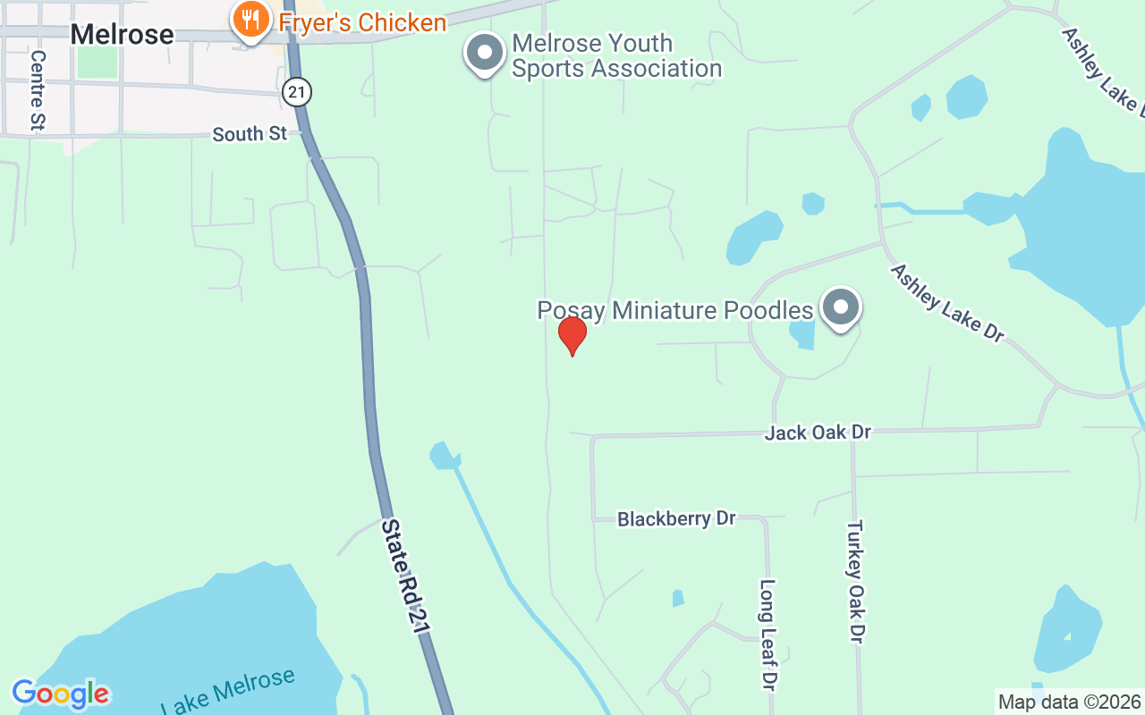 136 Powerline Road, Melrose, FL 32666
