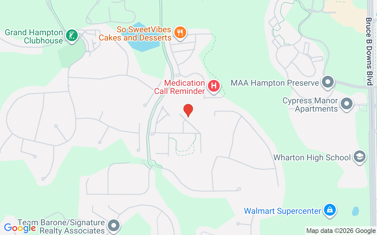 20223 Indian Rosewood Drive, Tampa, FL 33647