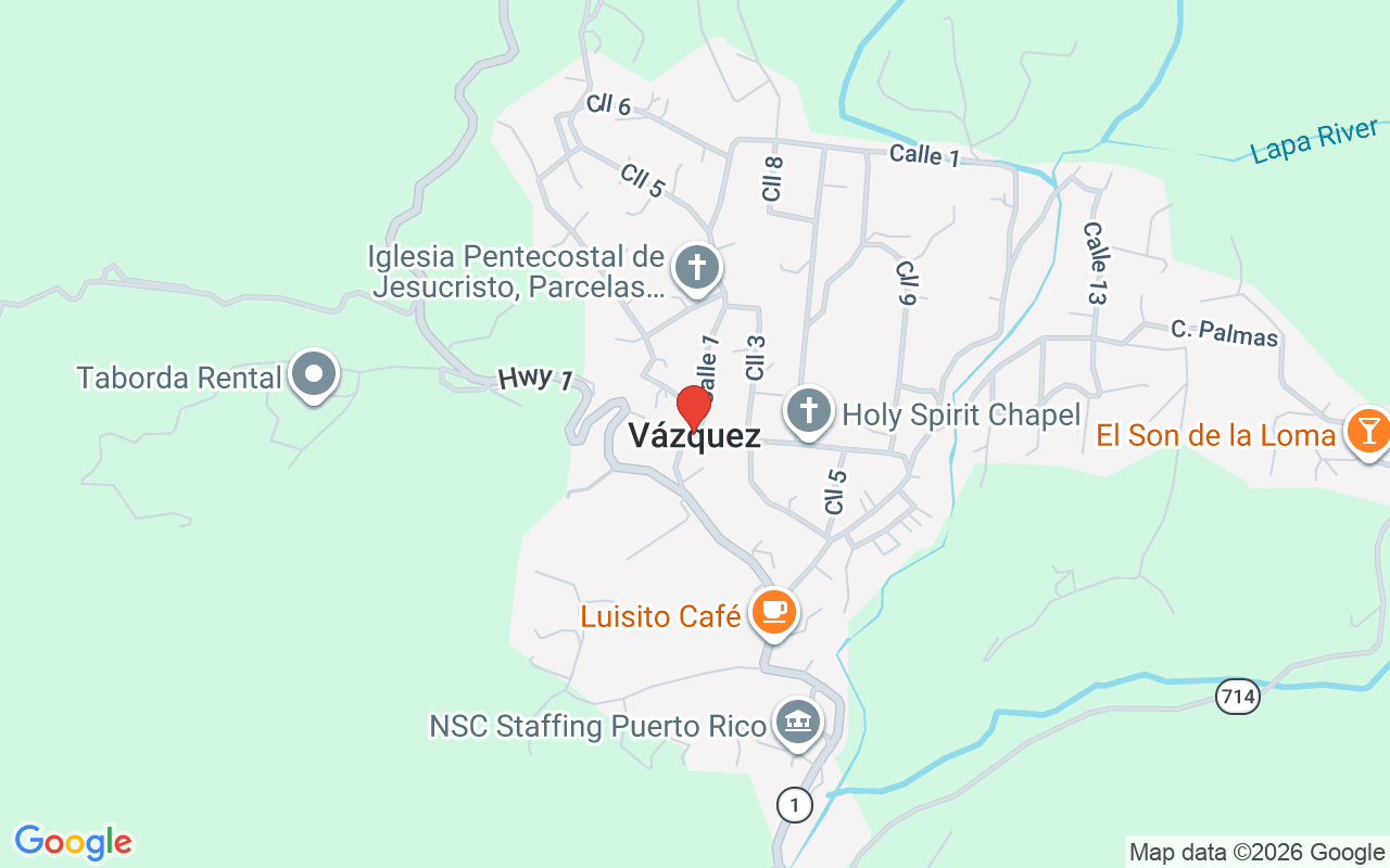 Lot 206-A 13Th St Vazquez Community, Salinas, PR 00751