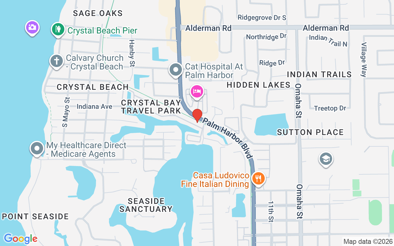 667 Yawl Lane, Palm Harbor, FL 34683